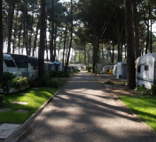 Parque de Campismo de Vila do Conde