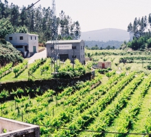 Quinta de Valetruto