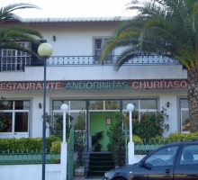 Andorinhas Andorinhas